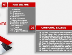 Animal Feed Enzyme